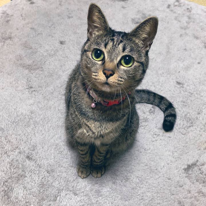 E30d22ed be00 4003 998f 7d927656b1d1 1546857109110