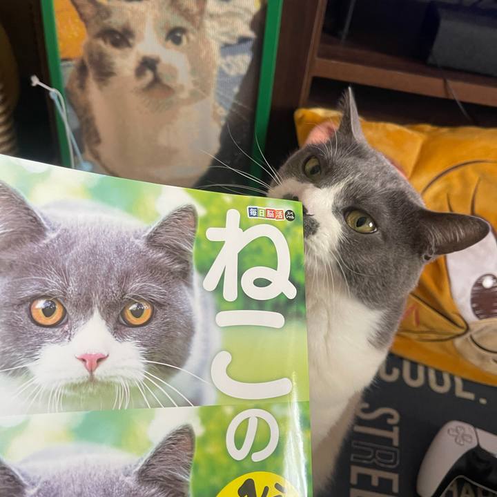 E30d7e17 531f 4d1c 97d7 f3c954366edc 1741589630974