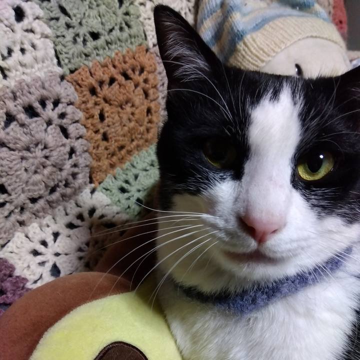 E30d84e5 688e 43c6 94b8 9c9ecd8442ad 1670682772744