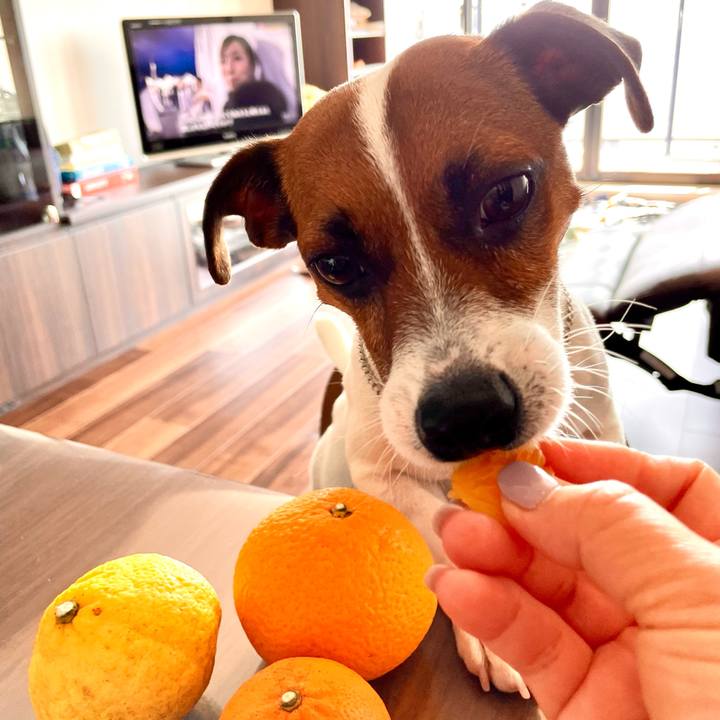 E30dbe48 6122 44eb a400 d24c99110172 1647218305476