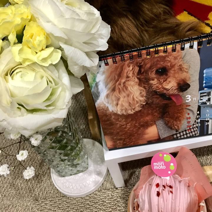 E30dd3af eaf8 434a b393 d37ce04ce616 1551536530599