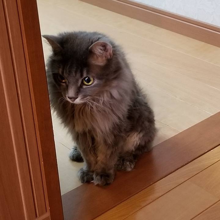 E30de787 7f88 4e2c ad75 28032dd9612c 1596747189989