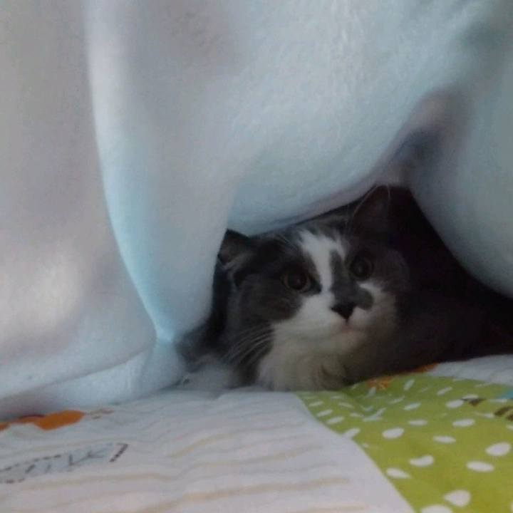 E30e04c0 1347 47e4 80e5 280fd825e410 1649763249904