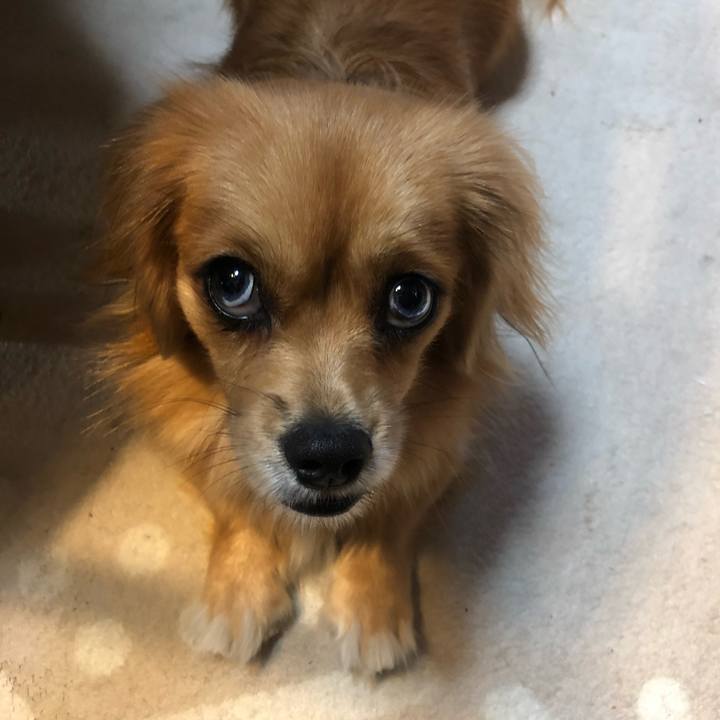 E30e137c f533 488c a575 9955fe15734d 1539122004248