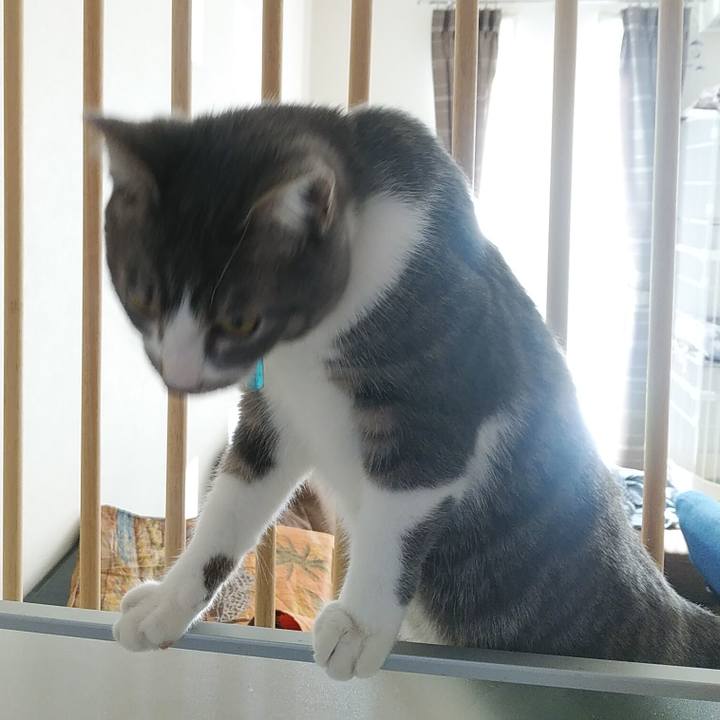 E30e3265 170f 4a04 b9ca 8028ce318987 1581997196763