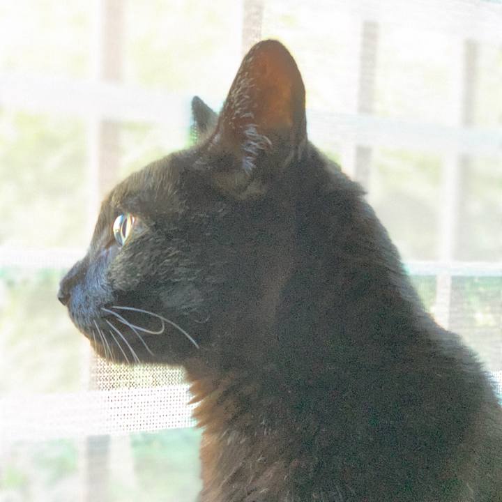 E30e44b4 cfaf 4e91 a21e 2b054b52162c 1568596134356