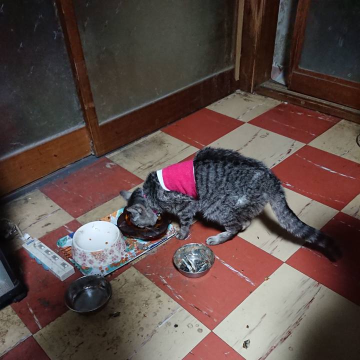 E30e5961 8d8f 401e 96df f49d8ae59b48 1586635653533