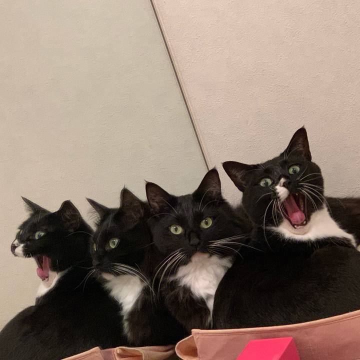 E30e69a7 5df2 479a 8ceb 583dd1bc8769 1583019373442