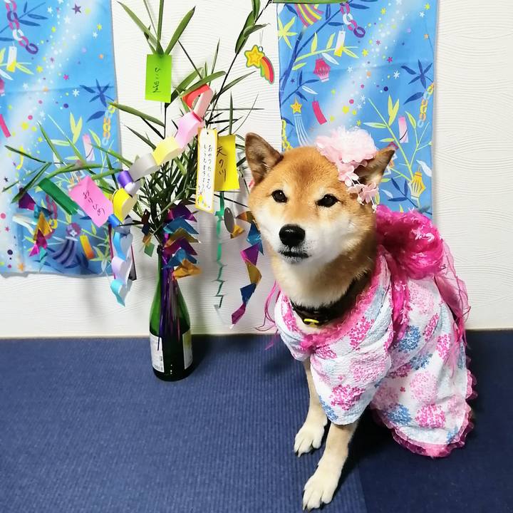 E30e9d41 2398 4718 9bbe d4c74260370d 1625662981052