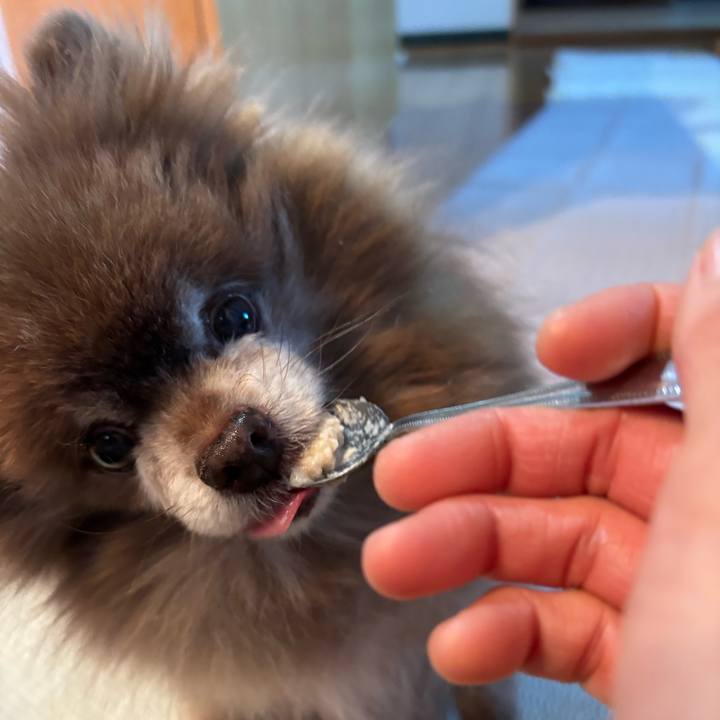 E30ed1e7 c2b4 41fd ac06 c3a948d899ec 1769984980103