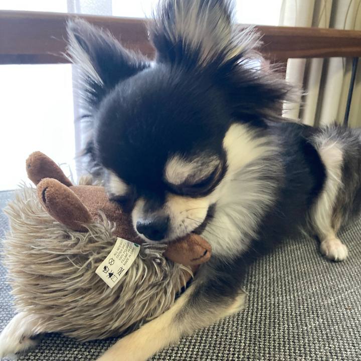 E30ee21b e595 4e4c 89f2 0cfd0b1a6d7e 1633182962418