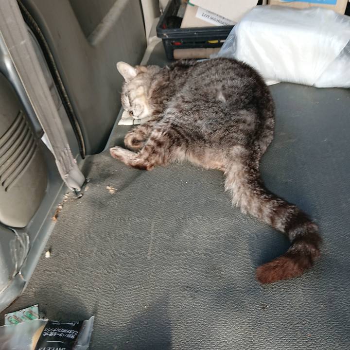 E30eed9c cd2b 435c 8207 6d5da536c525 1595799405099