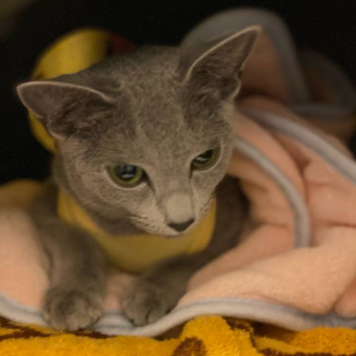 E30ef514 8167 40c9 915e 176122665167 1608451964728