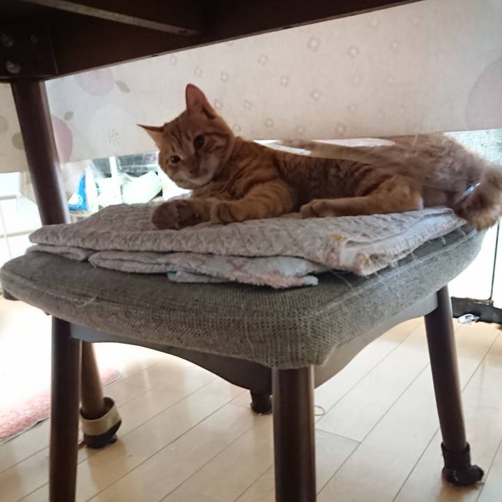 E30f457a 3abb 4f3e 8004 5b1712b46371 1638742081242