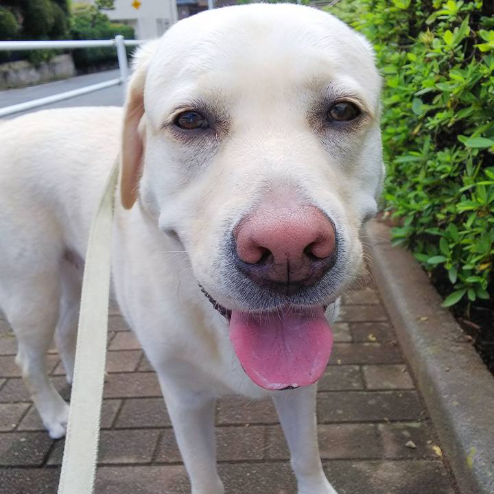 E30f4f7c dcc1 4ca7 b9d7 22d7a7ad15b1 1563500400378