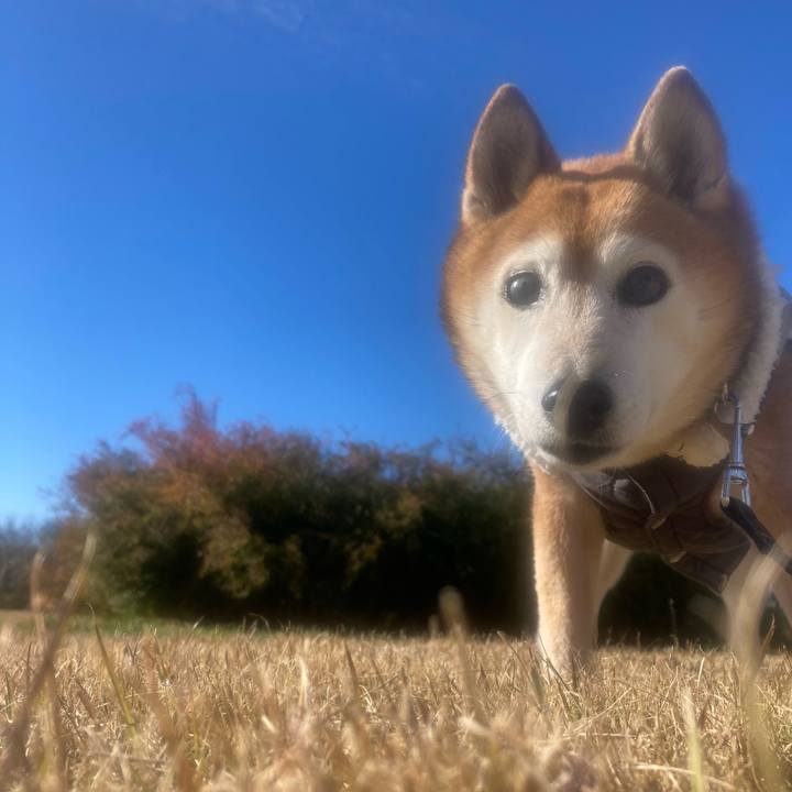 E30f69f3 832e 4533 8d81 dfff244b354d 1764825311625