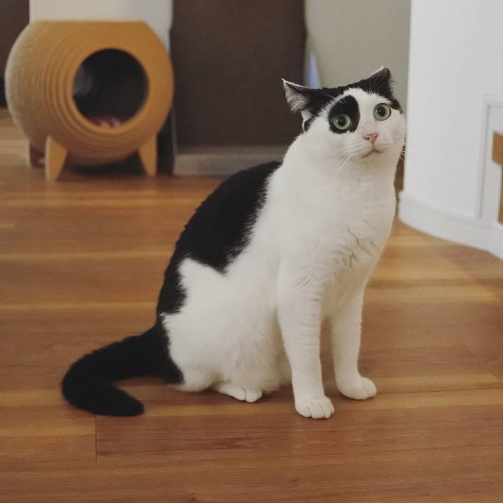 E30f7bbb 4701 4ef3 ae2d 16e525c48a4a 1631447072254