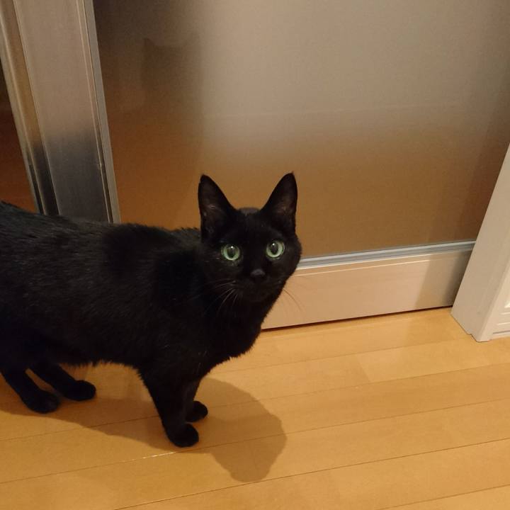 E30f7f61 99cc 440b a361 36e41adf2958 1541503738083