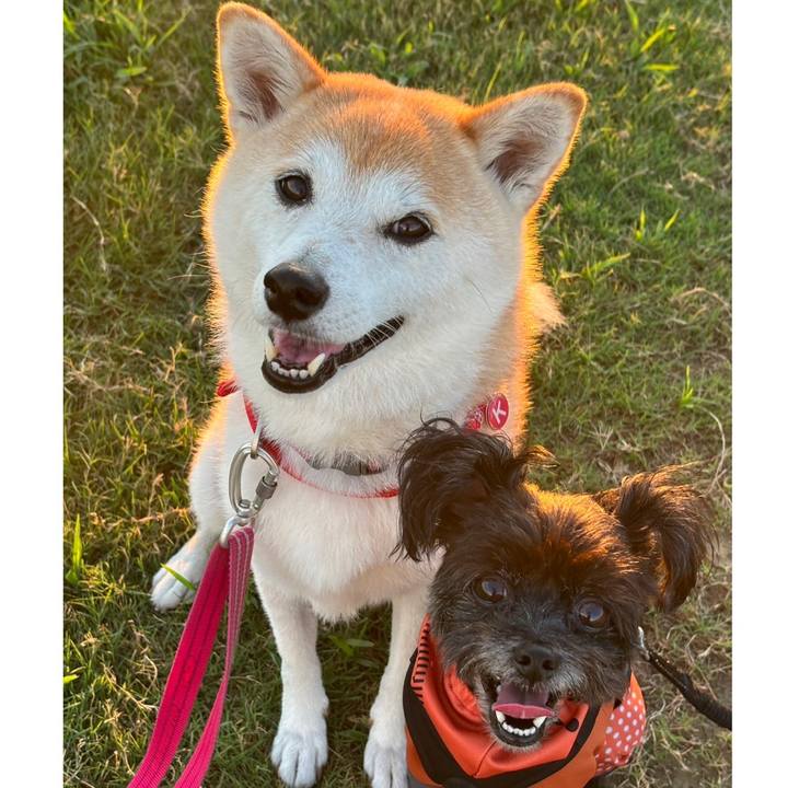 E30f895c f900 444d 905b 6f12f03388f0 1724477869281