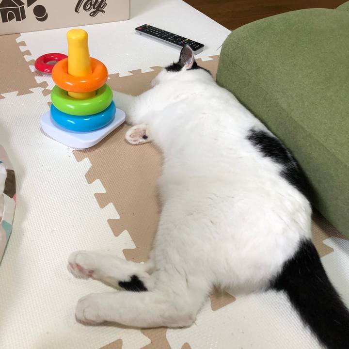 E30fa833 9adb 4047 b0b7 372d0ec39434 1595145451190