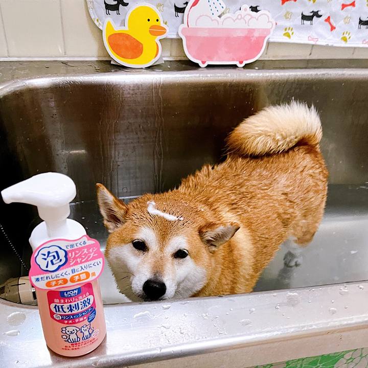 E30fba90 def8 42c1 8b6c 00f9594b6cc9 1655012556171