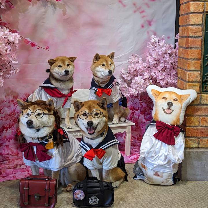 E30fcaa2 a44c 46f9 835f 6433865667dd 1712926552363