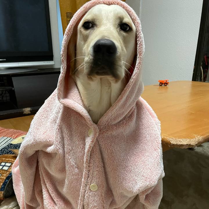 E30ffb1a bbcf 40c4 a6d1 f3cf5fee580d 1639654684024