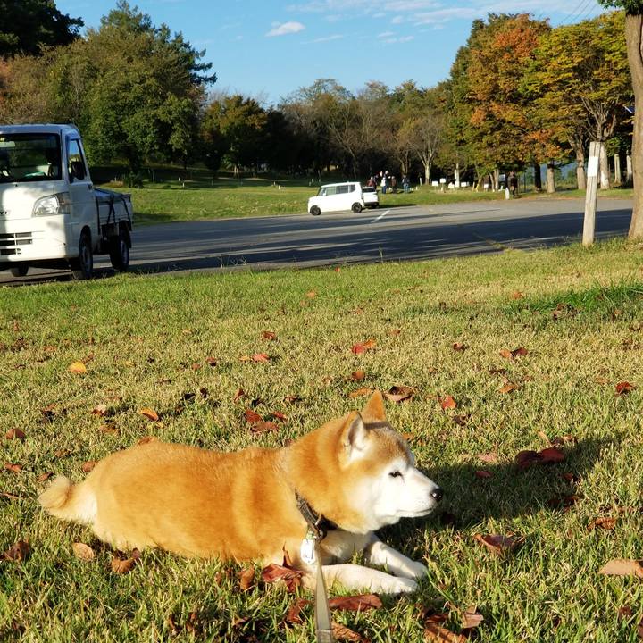 E3100cff e97d 4ddd ad4e f875c26206db 1697268156540