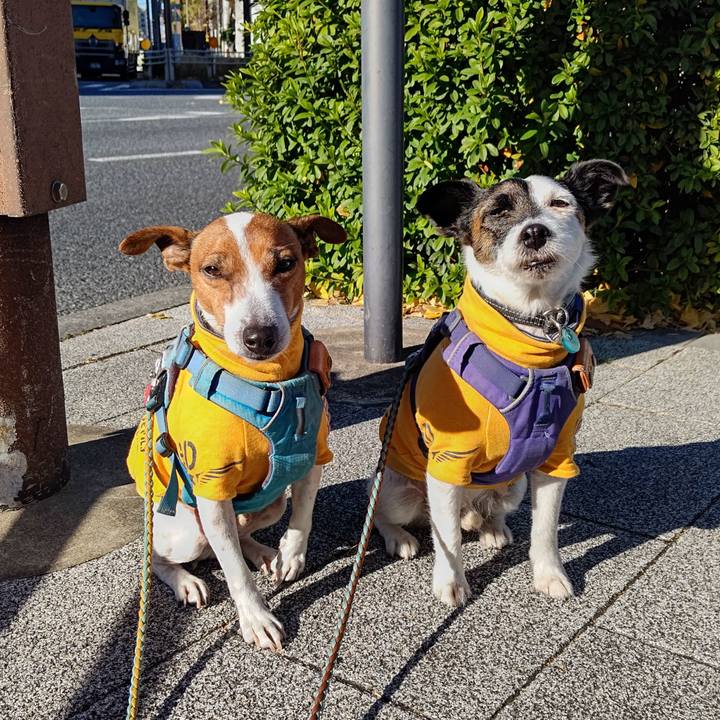 E31045d5 dd62 4296 9139 cfad2f123931 1704331522320