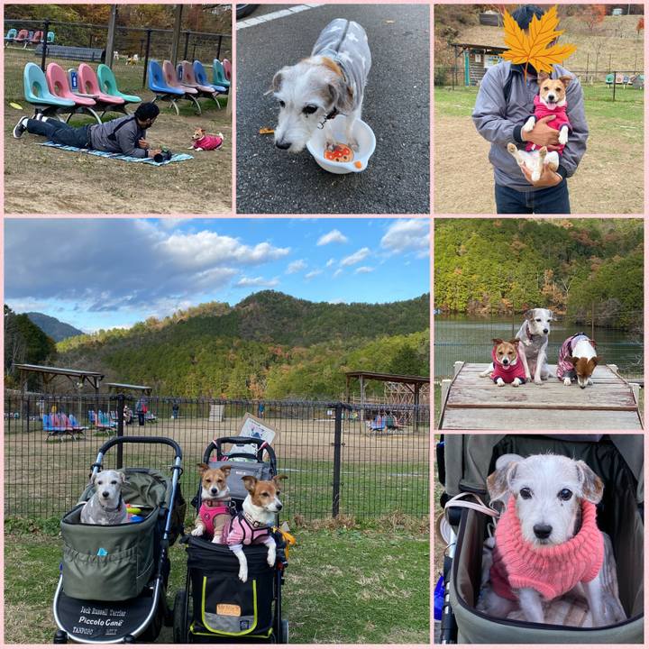 E3107767 fe8a 48ef a0b2 bda7455514de 1637758923058