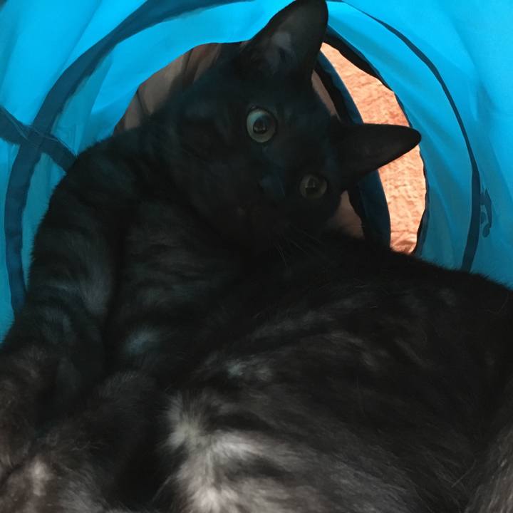 E310bb6a 476d 4282 b27b 16441e5fe2df 1556241744216