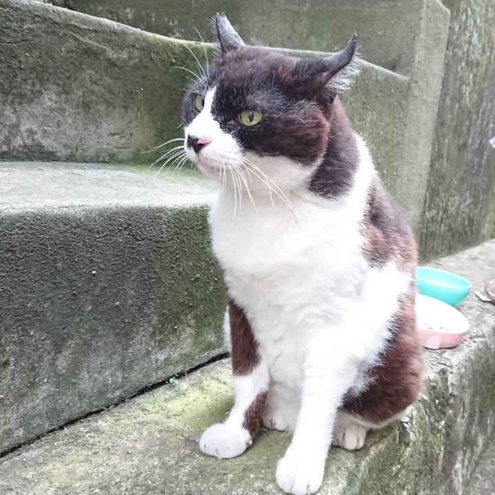 E310c629 a0d8 4c09 b6d3 636a5ceca64f 1689853312239