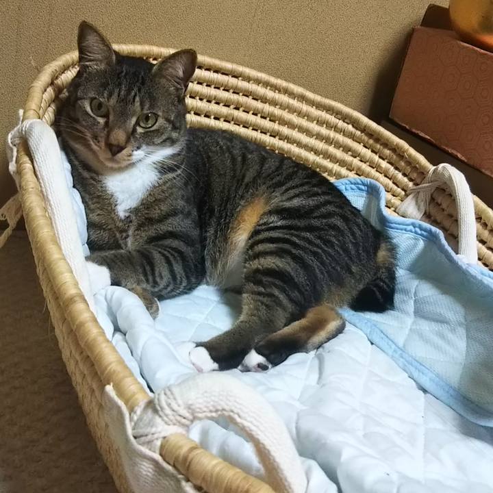 E310ddfd 003a 4da6 8b65 c2fcaf1c9bb4 1607697511077