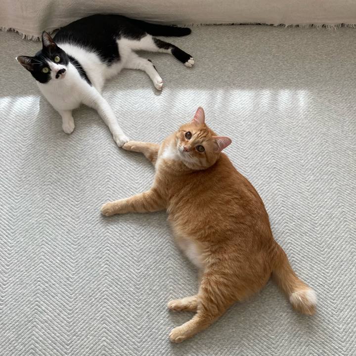 E310e988 3d70 45a3 9ffe 42d0ad887154 1772852433941