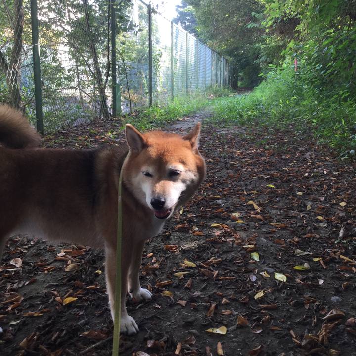 E310ed97 0fa9 4873 9e4f f80404c0cd29 1597113285086