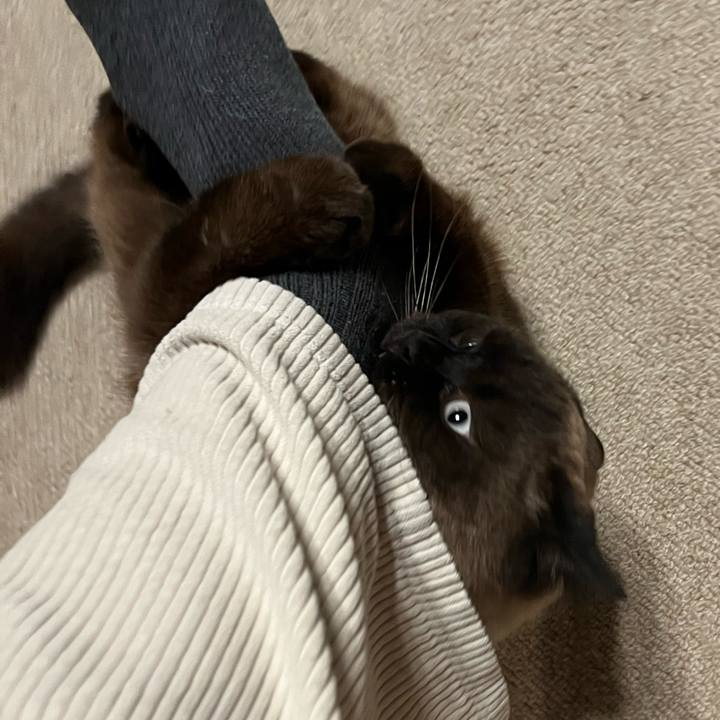 E310fbf3 0218 4791 bb13 51271b40d9c6 1675559935738