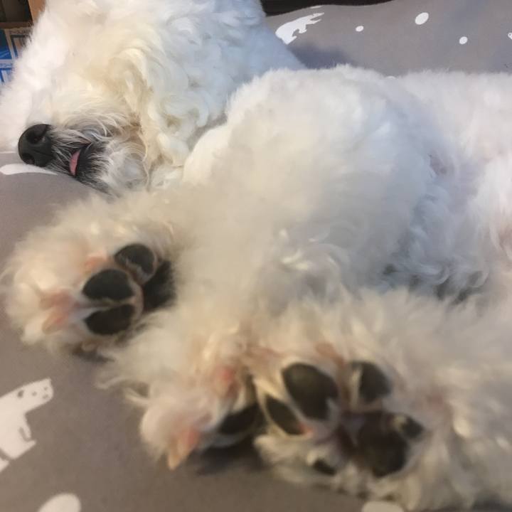 E3110e95 0b5b 4c2c b559 84f74966fb9f 1572321201618