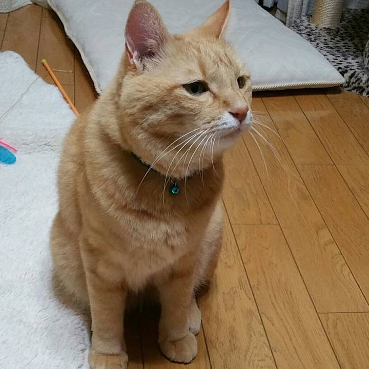 E3111270 d563 4a40 ac94 6bd912b4331b 1570365874357