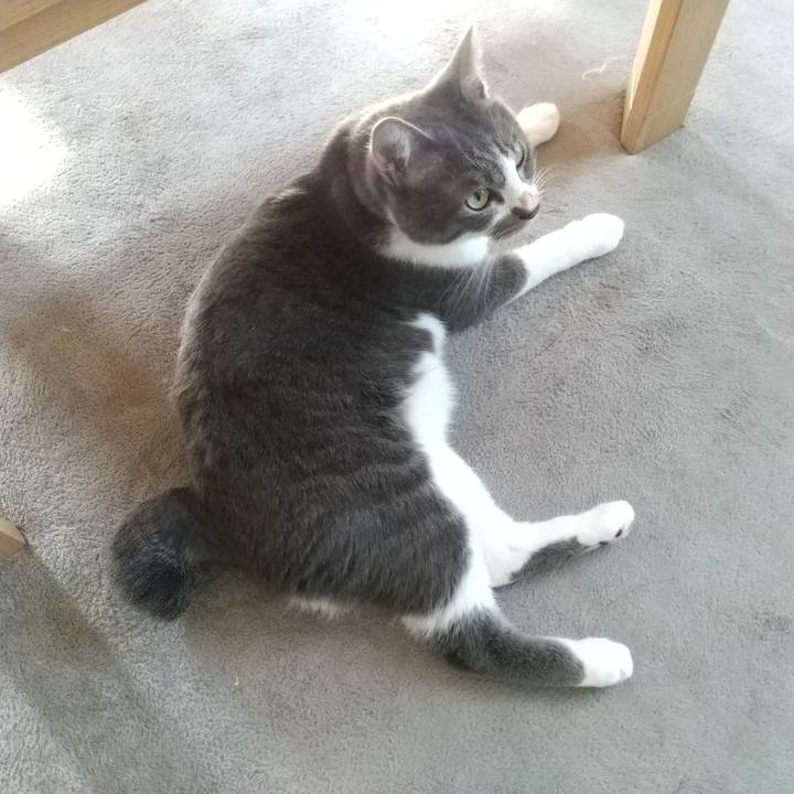 E31136f3 1cda 4d8d ac9d 4aef069c6fb8 1627860013103