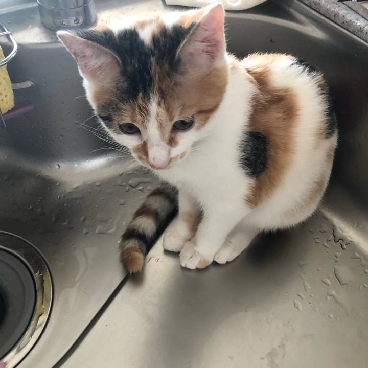 E3114af9 b106 4113 8b4c 123b0fee34b6 1566790558747