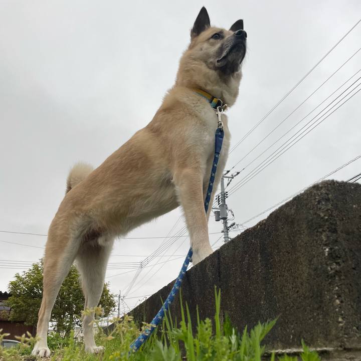 E3119dc3 9b47 48a8 b679 837a7a92d51c 1649934178956