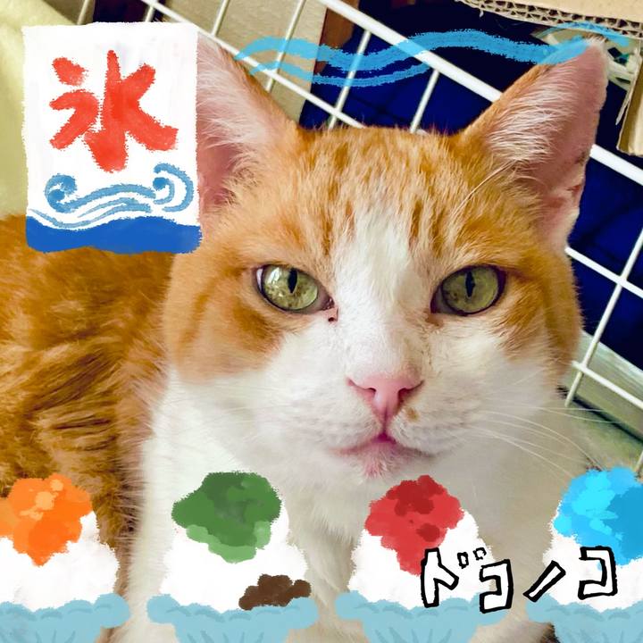 E311df6e 3e74 4171 af38 1642c249ea8a 1723211791893