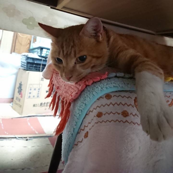 E3120129 93b0 41c4 955f f2c678efb46d 1566591522053