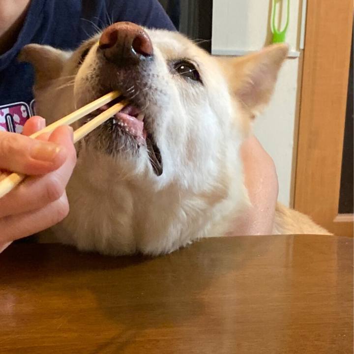 E31215ff 2826 475a 805c 11d0c6a26207 1573727906759