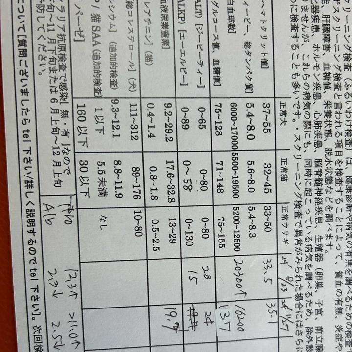 E3122926 609c 4a9d adaa 3cce0435e9ba 1734762138465