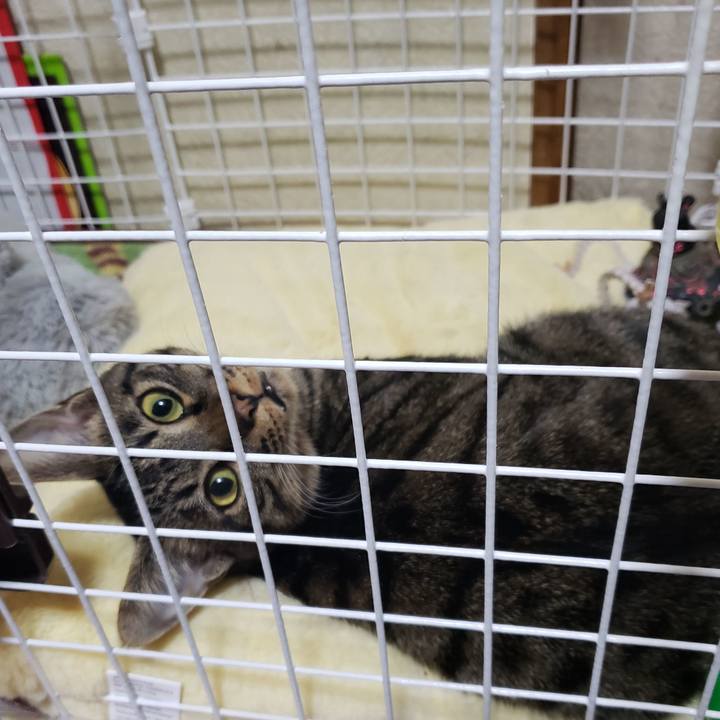 E3122ce6 5209 4854 9167 efc793ff7751 1548493437325