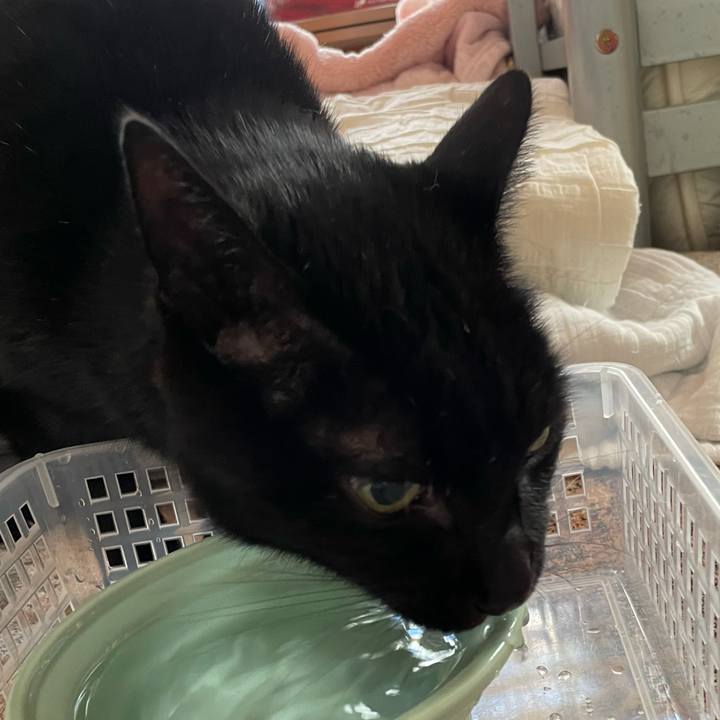 E3126057 f356 49f9 ad4a 9eb701fe19e5 1606527973965