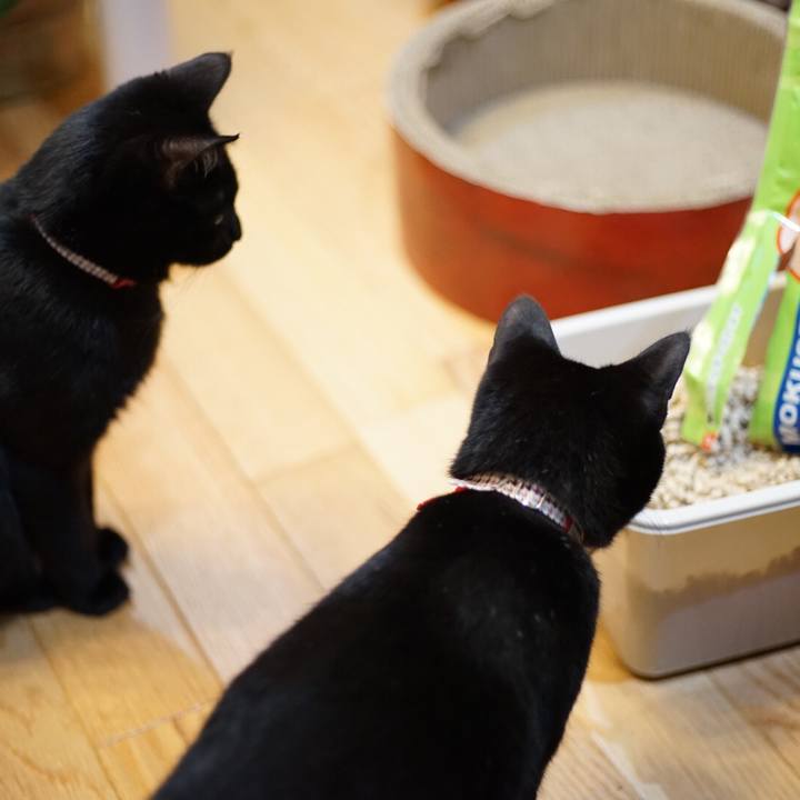 E31267e5 d323 4771 91b0 f10a72c7aa31 1520432911183