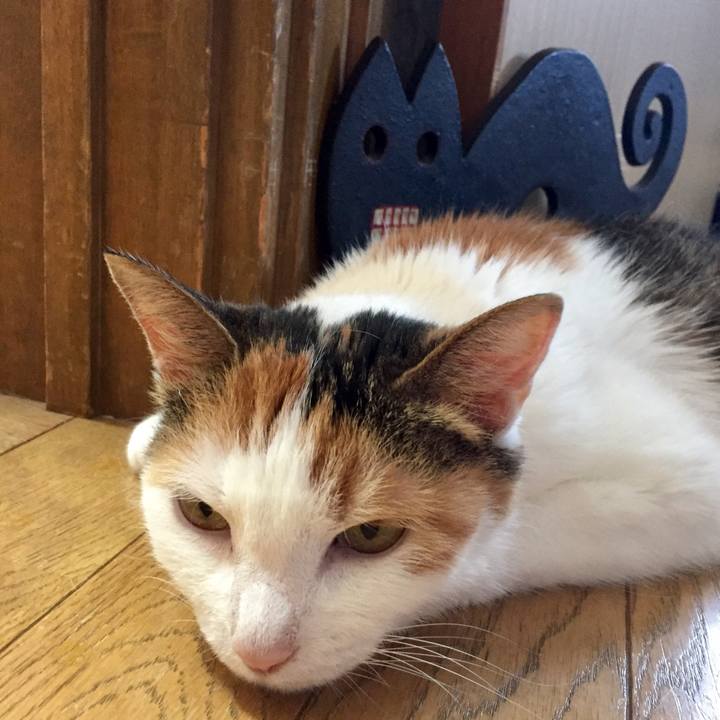 E312b52e 74e4 41bc bb3c 3450ca9e4772 1533452328339