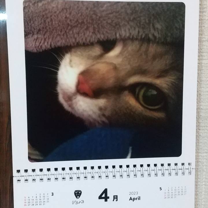 E3131edd 111f 40ad 8aa3 f885d6119eca 1680298508578